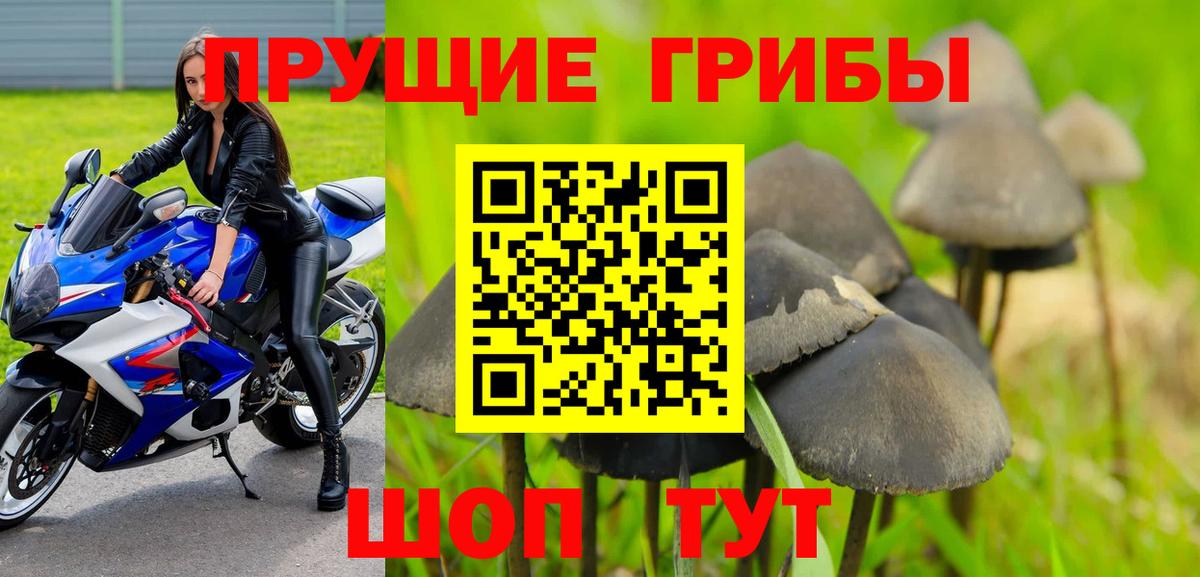 Димитровград  Галлюциногенные грибы Magic Shrooms  Вход с VPN  Галлюциногенные грибы мухоморы 